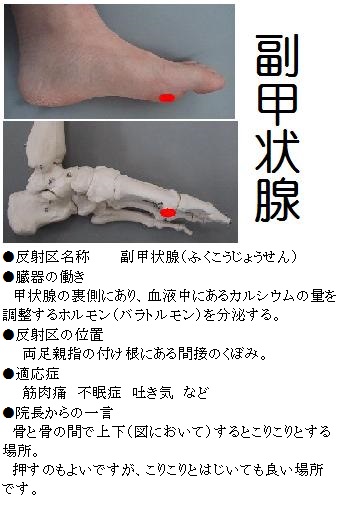 ツボ 足の裏 痛み