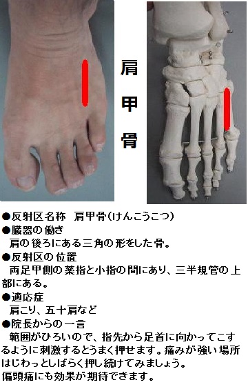 足 つぼ 位置